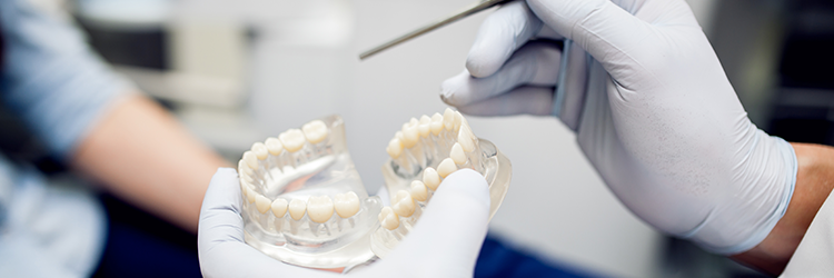 cirk&oacute;nium korona &aacute;r mitől f&uuml;gg